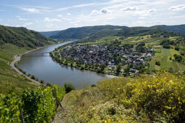 İtalyan Rodez sert peyniri çiğ inek sütüyle üretiliyor, İtalya 'da 6 aylık taze peynir tadıyor.