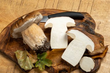 Boletus edulis, cepe, yaban domuzu mantarı yıkanmamış, ormandan lezzetli vejetaryen yiyecekler, Fransız ve İtalyan mutfağı için malzemeler, makarna, risotto, çorbayı kapat.