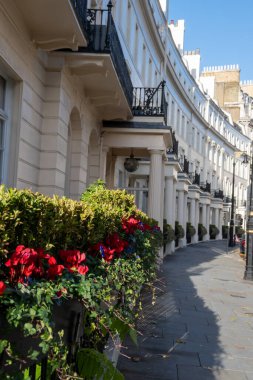 Londra 'nın prestijli ve sakin mahallesi Belgrave' de gezinirken zarif beyaz evler ve klasik mimari.