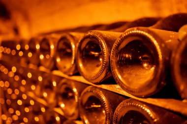 Yeraltı mağaralarının tozlu şişelerini ziyaret etmek, geleneksel yöntemlerle Reims, Epernay, Champagne, France 'da şampanya yapmak.