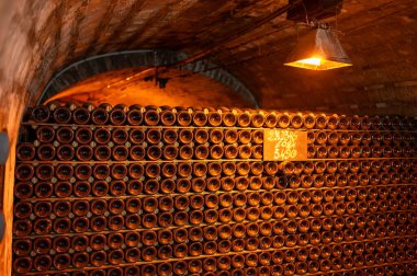 Yeraltı mağaralarının tozlu şişelerini ziyaret etmek, geleneksel yöntemlerle Reims, Epernay, Champagne, France 'da şampanya yapmak.