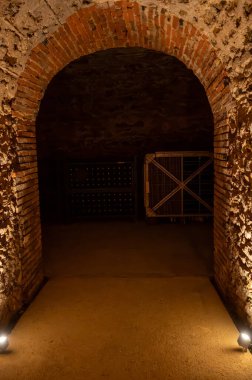 Yeraltı mağaralarının tozlu şişelerini ziyaret etmek, geleneksel yöntemlerle Reims, Epernay, Champagne, France 'da şampanya yapmak.