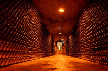 Yeraltı mağaralarının tozlu şişelerini ziyaret etmek, geleneksel yöntemlerle Reims, Epernay, Champagne, France 'da şampanya yapmak.