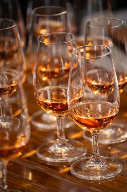 Ziyaretçiler için özel tatma etkinliği, bir bardak şampanyayla yemek eşleşmesi, Fransa 'da kış yemekleri ve şarap festivalinde ünlü aşçıların hazırladığı lezzetli yemekler.