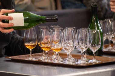 Ziyaretçiler için özel tatma etkinliği, bir bardak şampanyayla yemek eşleşmesi, Fransa 'da kış yemekleri ve şarap festivalinde ünlü aşçıların hazırladığı lezzetli yemekler.