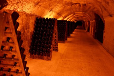 Şişedeki çökeltiyi bulmaca ya da derin yeraltı mağaraları öğrenci ahşap rafları üzerinde geleneksel şampanya yapma metodu Reims, Epernay, Champagne, France