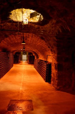 Yeraltı mağaralarının tozlu şişelerini ziyaret etmek, geleneksel yöntemlerle Reims, Epernay, Champagne, France 'da şampanya yapmak.