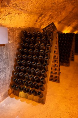 Şişedeki çökeltiyi bulmaca ya da derin yeraltı mağaraları öğrenci ahşap rafları üzerinde geleneksel şampanya yapma metodu Reims, Epernay, Champagne, France