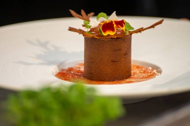 Ziyaretçiler için özel tatma etkinliği, bir bardak şampanyayla yemek eşleşmesi, Fransa 'da kış yemekleri ve şarap festivalinde ünlü aşçıların hazırladığı lezzetli yemekler.