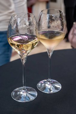 Ziyaretçiler için özel tatma etkinliği, bir bardak şampanyayla yemek eşleşmesi, Fransa 'da kış yemekleri ve şarap festivalinde ünlü aşçıların hazırladığı lezzetli yemekler.