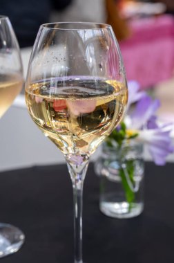 Ziyaretçiler için özel tatma etkinliği, bir bardak şampanyayla yemek eşleşmesi, Fransa 'da kış yemekleri ve şarap festivalinde ünlü aşçıların hazırladığı lezzetli yemekler.