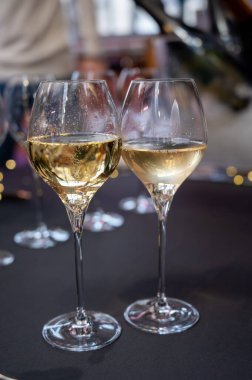 Ziyaretçiler için özel tatma etkinliği, bir bardak şampanyayla yemek eşleşmesi, Fransa 'da kış yemekleri ve şarap festivalinde ünlü aşçıların hazırladığı lezzetli yemekler.