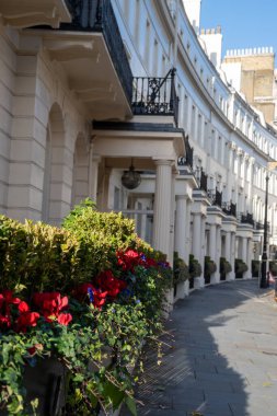 Zarif beyaz konaklar ve klasik mimari Belgrave, Londons 'da gezerken prestijli ve sakin İngiltere' de