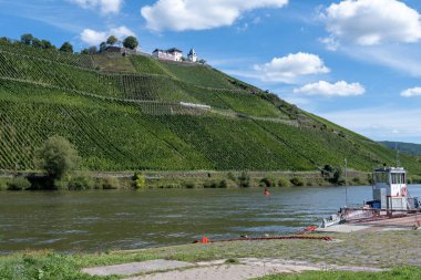 Almanya 'nın Punderich ortaçağ köyü yakınlarındaki yeşil teraslı üzüm bağları ve Moselle nehri manzarası