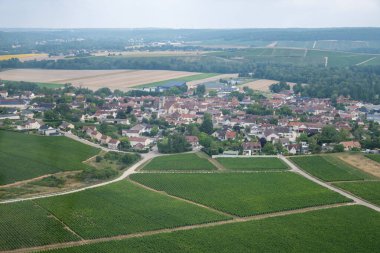 Essoyes ve Celles-sur-Ource yakınlarındaki Aube şubesinin Cote des Bar bölgesinde şampanya bağları, Champagne-Ardennes, Fransa, Avrupa, yukarıda küçük bir uçaktan görüldüğü gibi