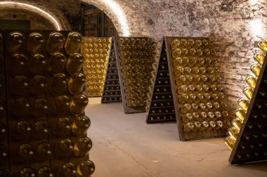 Köpüklü şarap, kava, şampanya, cremant şarap, yeraltı mağaralarının ziyareti, bulmaca çözme ve yaşlanma, Avrupa 'da şarap üretimi, mahzen ziyareti