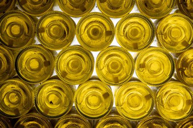 Köpüklü şarap, kava, şampanya, cremant şarap, yeraltı mağaralarının ziyareti, bulmaca çözme ve yaşlanma, Avrupa 'da şarap üretimi, mahzen ziyareti