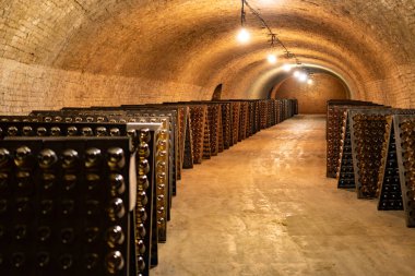 Köpüklü şarap, kava, şampanya, cremant şarap, yeraltı mağaralarının ziyareti, bulmaca çözme ve yaşlanma, Avrupa 'da şarap üretimi, mahzen ziyareti