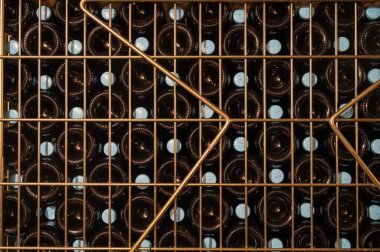 Şampanya üreticileri, evler, fermantasyon ve yaşlanma, bilmeceler, Fransa 'nın Şampanya Bölgesi' nde şampanya yapma süreci...