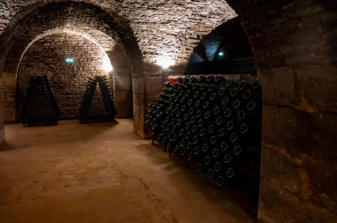 Şampanya üreticileri, evler, fermantasyon ve yaşlanma, bilmeceler, Fransa 'nın Şampanya Bölgesi' nde şampanya yapma süreci...