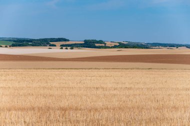 Orta Fransa 'da buğday hasadı, saman yığınları, geleneksel ve modern tarım teknikleri, Temmuz ayında Loire bölgesinin tarım arazisi