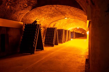 Şişedeki çökeltiyi bulmaca ya da derin yeraltı mağaraları öğrenci ahşap rafları üzerinde geleneksel şampanya yapma metodu Reims, Epernay, Champagne, France