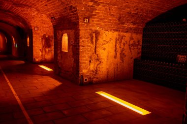 Yeraltı mağaralarının tozlu şişelerini ziyaret etmek, geleneksel yöntemlerle Reims, Epernay, Champagne, France 'da şampanya yapmak.