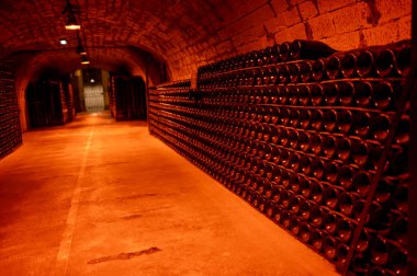 Yeraltı mağaralarının tozlu şişelerini ziyaret etmek, geleneksel yöntemlerle Reims, Epernay, Champagne, France 'da şampanya yapmak.