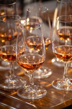 Ziyaretçiler için özel tatma etkinliği, bir bardak şampanyayla yemek eşleşmesi, Fransa 'da kış yemekleri ve şarap festivalinde ünlü aşçıların hazırladığı lezzetli yemekler.