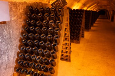 Şişedeki çökeltiyi bulmaca ya da derin yeraltı mağaraları öğrenci ahşap rafları üzerinde geleneksel şampanya yapma metodu Reims, Epernay, Champagne, France