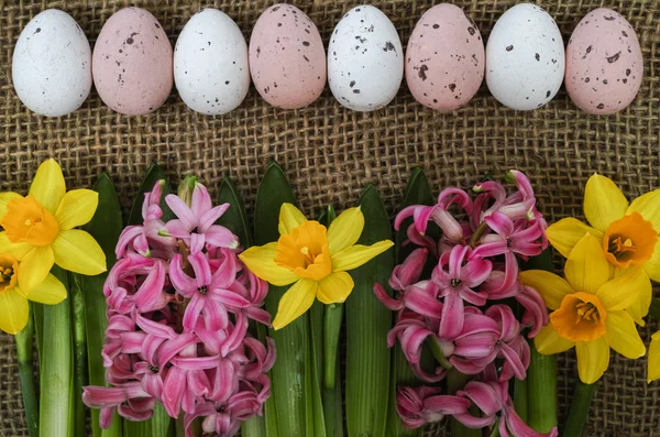 Fiori di primavera rosa e gialli, uova colorate, Domenica di Pasqua — Foto Stock