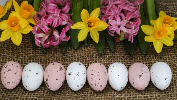 Fiori di primavera rosa e gialli, uova colorate, Domenica di Pasqua — Foto Stock