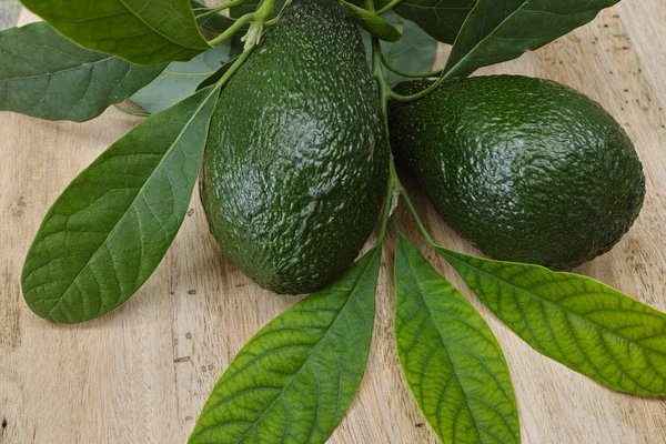 Зеленый свежий авокадо — стоковое фото