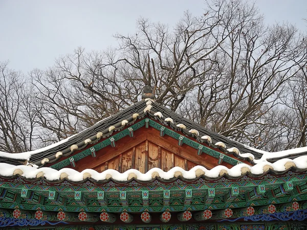 Een tempel dak met sneeuw op het — Stockfoto