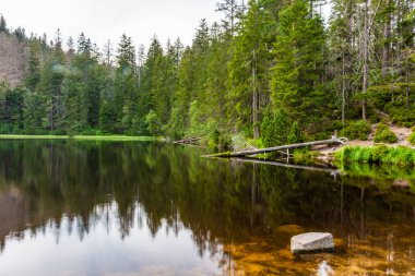Wildsee Gölü Kara Orman, Almanya