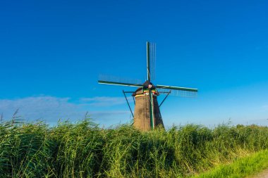 Hollanda 'nın ünlü Kinderdijk yel değirmenleri.