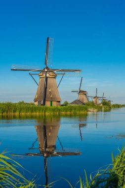 Hollanda 'nın ünlü Kinderdijk yel değirmenleri.