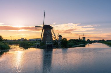 Hollanda 'nın ünlü Kinderdijk yel değirmenleri.