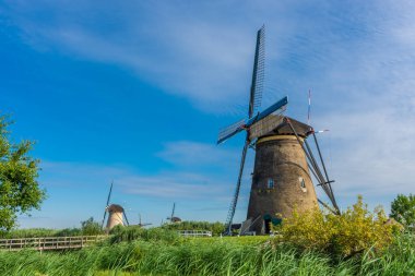 Hollanda 'nın ünlü Kinderdijk yel değirmenleri.