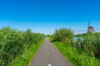 Hollanda 'nın ünlü Kinderdijk yel değirmenleri.