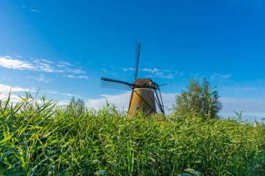 Hollanda 'nın ünlü Kinderdijk yel değirmenleri.