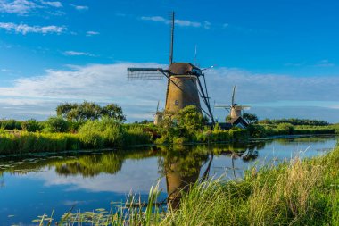 Hollanda 'nın ünlü Kinderdijk yel değirmenleri.