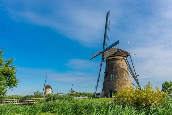 Famous Windmills Kinderdijk Netherlands — Stock Photo, Image