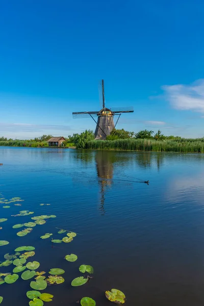 Beroemde Molens Van Kinderdijk Nederland — Stockfoto
