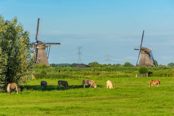 オランダのキンダーダイクの有名な風車 — ストック写真