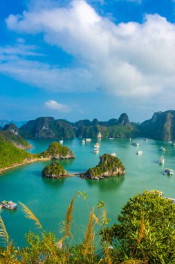 HA LONG BAY, VIETNAM, JANUARY 6 2020: Beautiful landscape of Ha Long Bay clipart