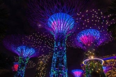 SINGAPORE, 3 EKİM 2019: Geceleri körfezin kenarındaki Bahçelerin Süperağaçları