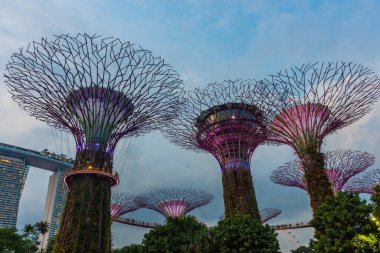 SINGAPORE, 3 EKİM 2019: Körfezin yanındaki Bahçelerin Süperağaçları