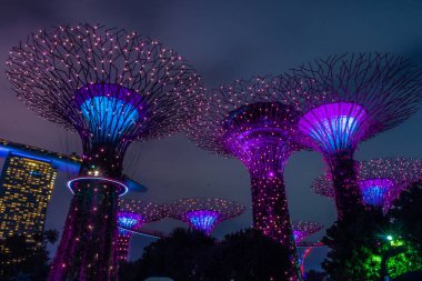 SINGAPORE, 3 EKİM 2019: Körfezin yanındaki Bahçelerin Süperağaçları