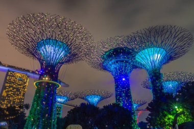 SINGAPORE, 3 EKİM 2019: Körfezin yanındaki Bahçelerin Süperağaçları